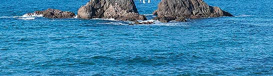 福岡県二見浦の夫婦岩の写真1-2